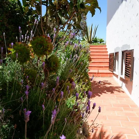 Casa Do Cactus Maison d'hôtes
